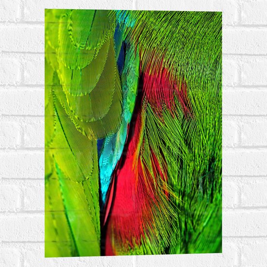 WallClassics - Muursticker - Groen met Rode Veren van een Vogel - 40x60 cm Foto op Muursticker