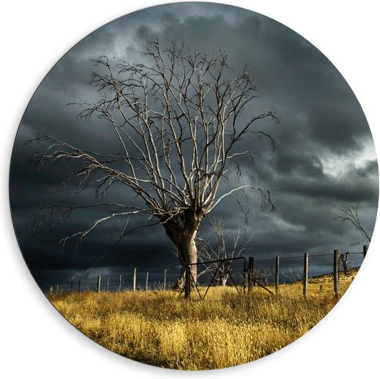 WallClassics - Dibond Muurcirkel - Onweer op Komst boven Weiland - 80x80 cm Foto op Aluminium Muurcirkel (met ophangsysteem)