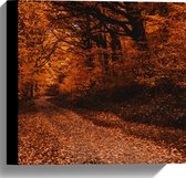 WallClassics - Canvas  - Bospad Vol met Bruine Herfst Bladeren - 30x30 cm Foto op Canvas Schilderij (Wanddecoratie op Canvas)