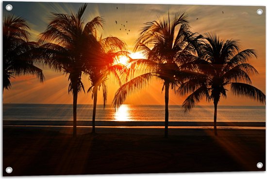WallClassics - Tuinposter – Palmbomen op het Strand bij Zonsondergang - 90x60 cm Foto op Tuinposter  (wanddecoratie voor buiten en binnen)