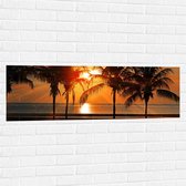 WallClassics - Muursticker - Palmbomen op het Strand bij Zonsondergang - 120x40 cm Foto op Muursticker