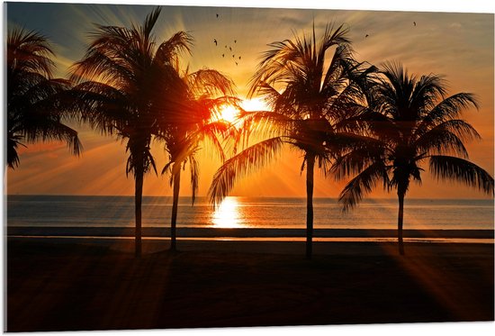 WallClassics - Acrylglas - Palmbomen op het Strand bij Zonsondergang - 105x70 cm Foto op Acrylglas (Met Ophangsysteem)