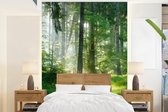 Behang - Fotobehang Natuur - Bomen - Bos - Groen - Zon - Gras - Planten - Breedte 160 cm x hoogte 220 cm