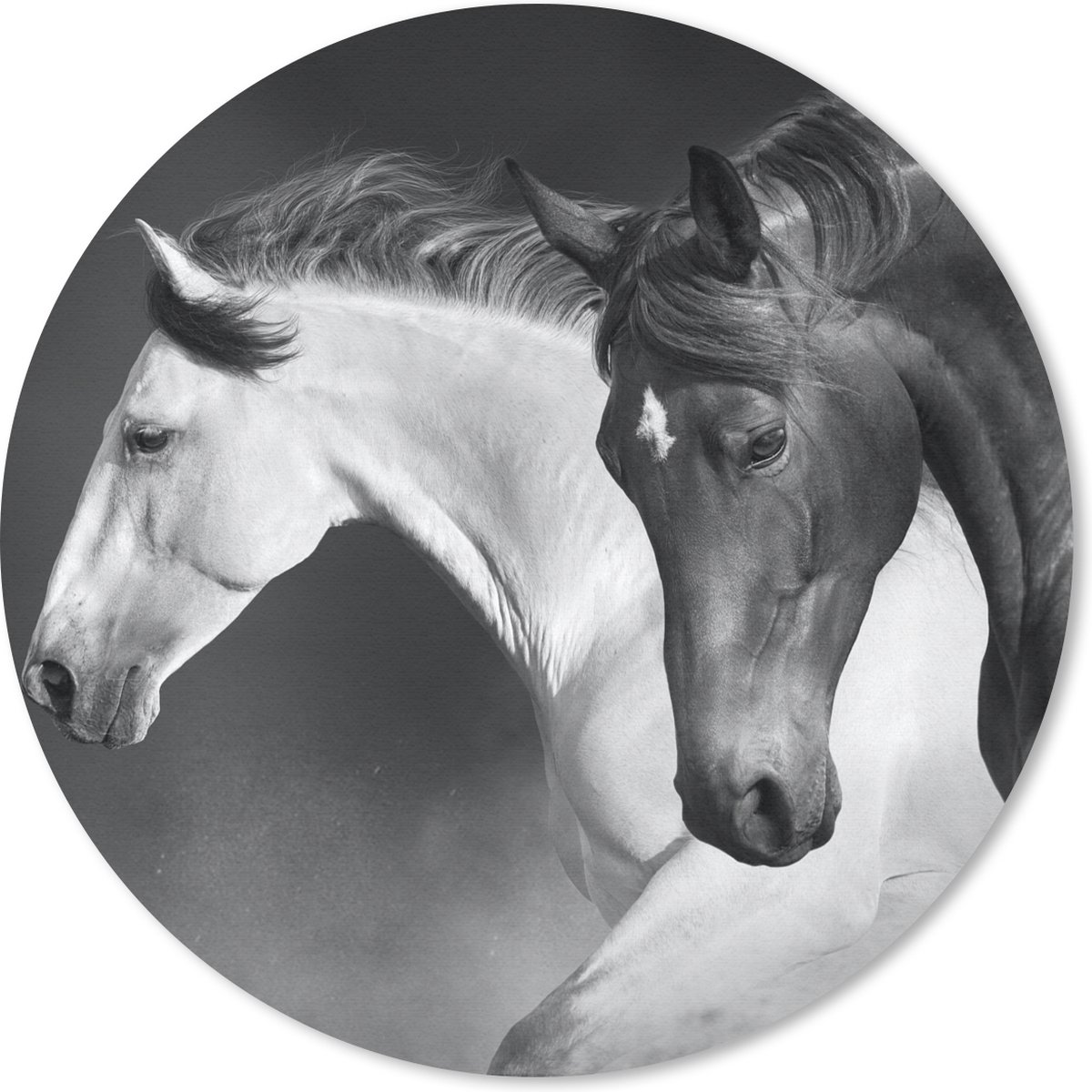 Muismat - Mousepad - Rond - Paarden - Dieren - Zwart - Wit - Portret - 40x40 cm - Ronde muismat