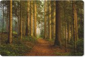 Sous-main 60x40 cm - Tapis de souris Forêt - Nature - Arbres - Paysage - Feuilles - Sous-main XL - Protège-sous-main - Tapis de souris Ordinateur