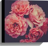 WallClassics - Toile - Grandes Fleurs Roses - 30x30 cm Photo sur Toile (Décoration murale sur Toile)