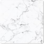 Muismat Klein - Marmer - Wit - Grijs - Luxe - Marmerlook - Structuur - 20x20 cm