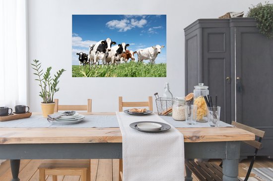 Affiche Vaches - Campagne - Pâturage - Nature - Animaux - 120x80 cm