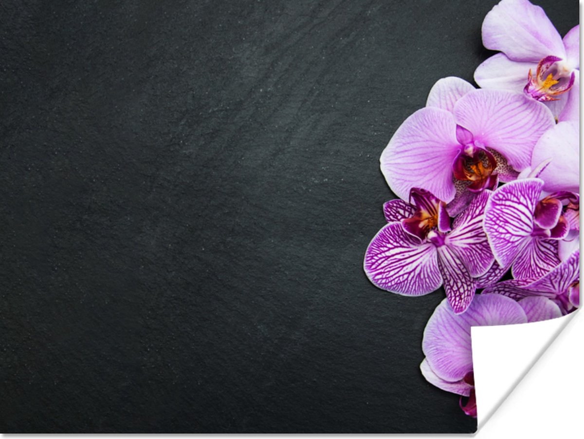 Poster Orchidee - Bloemen - Roze - Flora - 80x60 cm