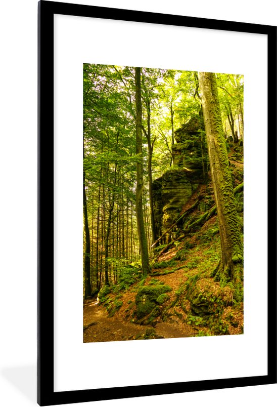 Bomen & Bladeren Fotobehang goedkoop online bestellen