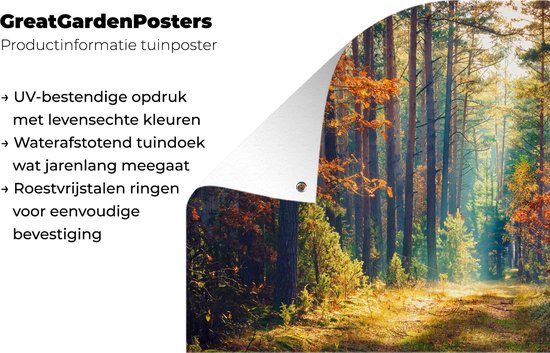 Affiche jardin - Toile jardin - Affiches jardin extérieur - Forêt - Soleil - Nature - Automne - Posters de jardin cm - Jardin