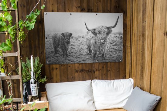 Affiche de jardin - Toile de jardin - Posters de jardin extérieur - Highlanders écossais - Lumière - Air - Nature - 120x80 cm - Jardin
