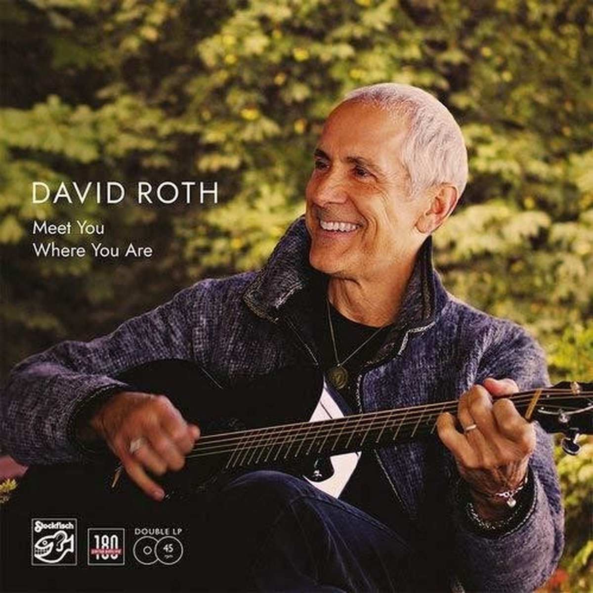 David Roth - Meet You Where You Are (2 LP)