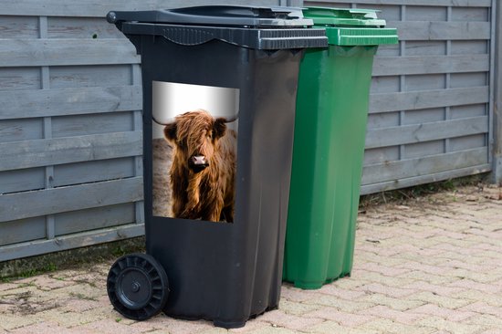 Sticker conteneur Scottish Highlander - Paysage - Vache - Marron - Animaux - Nature - 40x60 cm - Kliko sticker