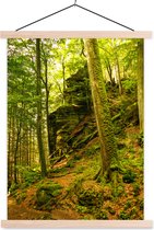 Posterhanger incl. Poster 87x120 cm - Schoolplaat - Bomen - Steen - Bos - Natuur - Planten - Textielposter - Blanke latten