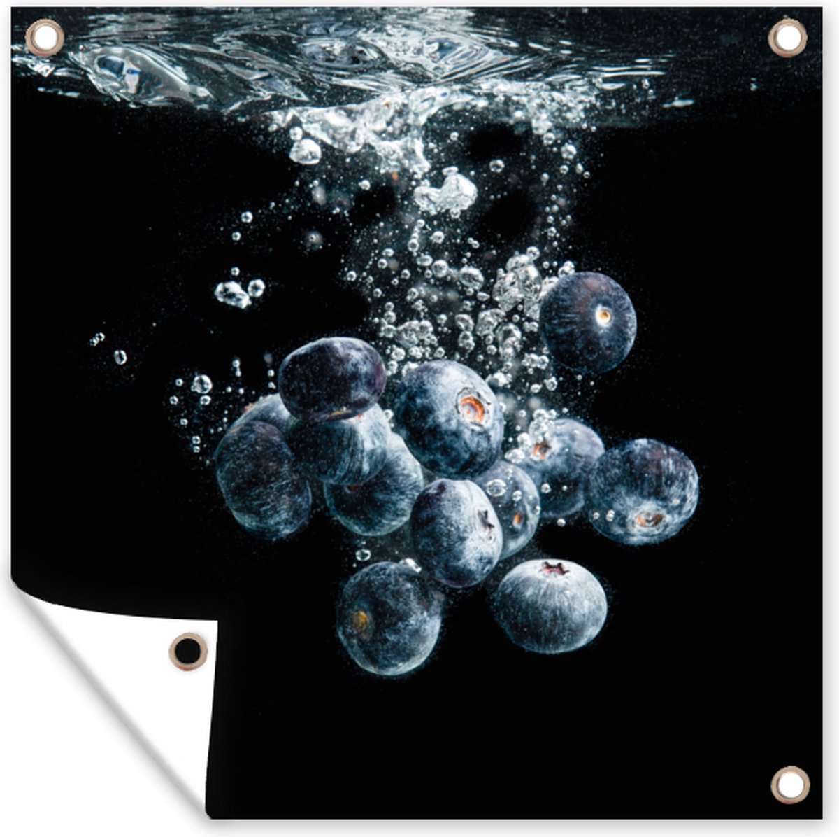 Tuinposters Blauwe bessen - Fruit - bes - Stilleven - Water - Zwart ...