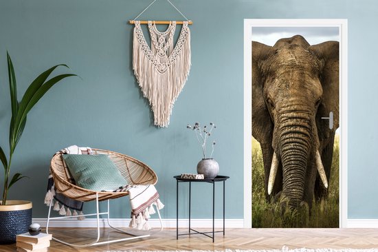Sticker pour porte Éléphant - Nature - Herbe - Animaux - Paysage - 75x205 cm - Affiche de porte