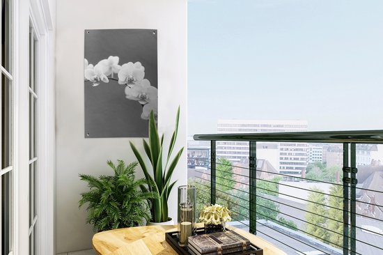 Décoration de jardin Orchidée - Fleurs - Plante - Wit - Violet - 40x60 cm - Poster jardin - Toile jardin - Poster extérieur