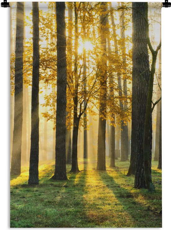 Wandkleed - Wanddoek - Bos - Zon - Bomen - Gras - Landschap - Natuur - 120x180 cm - Wandtapijt