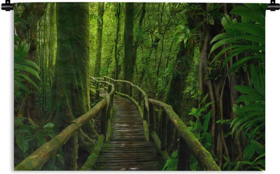 Tapisserie - Toile murale - Jungle - Pont - Mousse - Nature - Tropical - 150x100 cm - Tapisserie