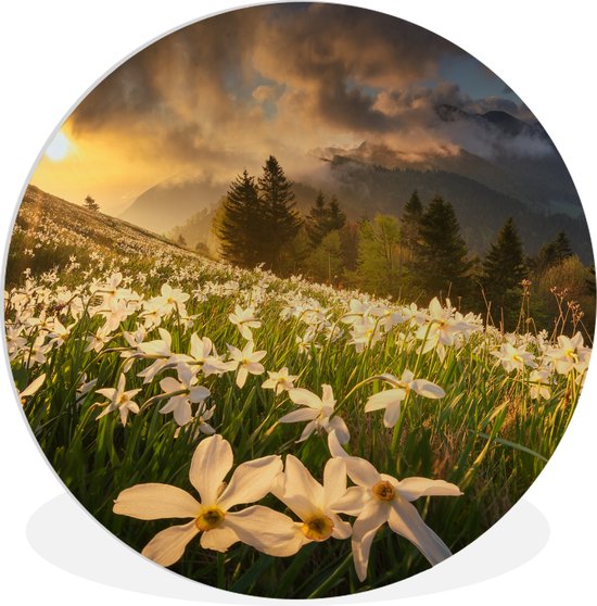 WallCircle - Wandcirkel ⌀ 90 - Bloemenveld - Heuvels - Zonsondergang - Berg - Natuur - Wit - Heuvels - Ronde schilderijen woonkamer - Wandbord rond - Muurdecoratie cirkel - Kamer decoratie binnen - Wanddecoratie muurcirkel - Woonaccessoires