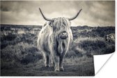 Poster Schotse hooglander - Dieren - Wolken - Koe - Natuur - 180x120 cm XXL