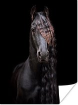 Poster Paarden - Fries - Manen - Zwart - Dieren - 60x80 cm