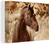 Canvasdoek enfant - Décoration murale chambre enfant - Cheval - Portrait - Nature - Animaux - Décoration chambre - Toile enfant - 80x60 cm