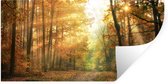 Muurstickers - Sticker Folie - Bos - Herfst - Zon - Landschap - Natuur - Bomen - Bladeren - 80x40 cm - Plakfolie - Muurstickers Kinderkamer - Zelfklevend Behang - Zelfklevend behangpapier - Stickerfolie