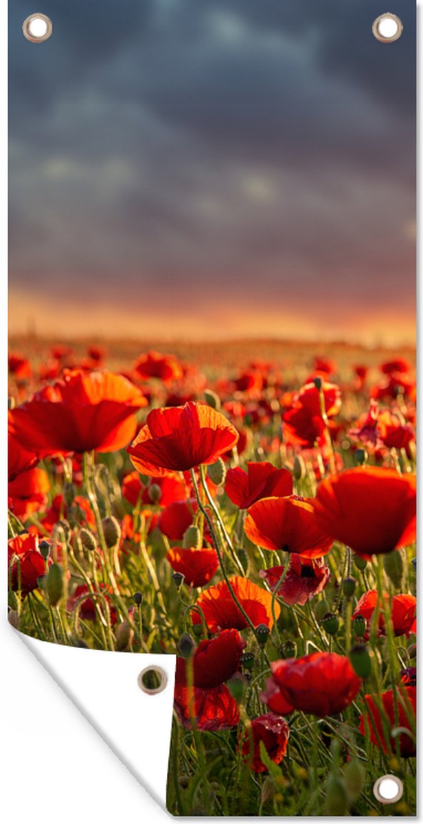 Tableau Toile Champ De Coquelicots Coucher De Soleil - 100x57 Cm, Impression Haute Qualité - Décoration Murale Salon Chambre - 8
