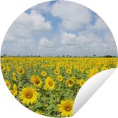 Tuincirkel Zonnebloemen - Bloemen - Wolken - Natuur - Geel - Landschap - 150x150 cm - Ronde Tuinposter - Buiten