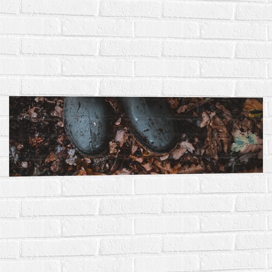 WallClassics - Muursticker - Regenlaarsjes in Herfstbladeren - 90x30 cm Foto op Muursticker
