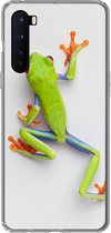 Geschikt voor OnePlus Nord hoesje - Kikker - Dieren - Groen - Siliconen Telefoonhoesje
