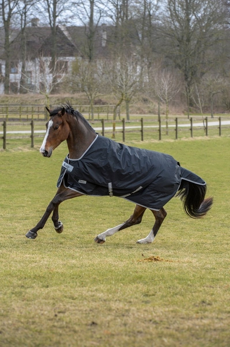 Bucas Deken Anniversary 200gr Zwartzilver 155 bol