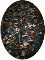 WallClassics - Dibond Ovaal - Herfstbladeren en Takken - 51x68 cm Foto op Ovaal (Met Ophangsysteem)