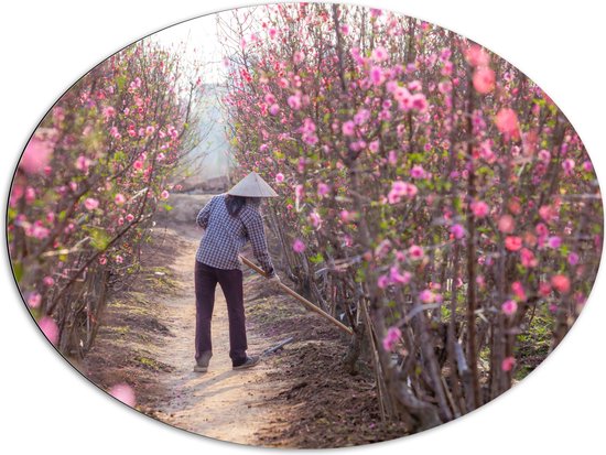 WallClassics - Dibond Ovaal - Vietnamese Vrouw werkend bij Bloesemtakken - 96x72 cm Foto op Ovaal (Met Ophangsysteem)