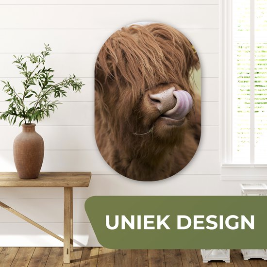 Miroir ovale - Décoration murale en plastique - Tableau ovale - Highlander écossais - Marron - Animaux - 60x90 cm - Forme miroir ovale sur plastique