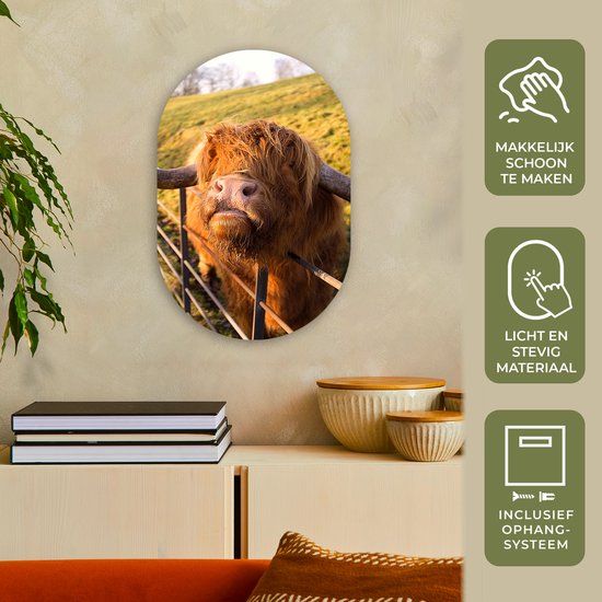 Miroir ovale - Décoration murale en plastique - Tableau ovale - Highlander écossais - Clôture - Herbe - 40x60 cm - Forme de miroir ovale sur plastique