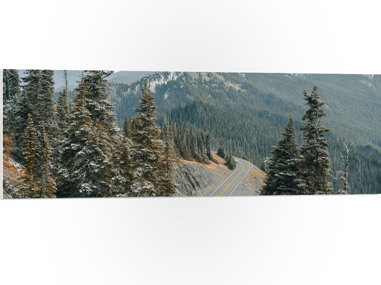 WallClassics - Panneau en mousse PVC - Grands Arbres en bord de route de Montagnes - Photo 120x40 cm sur panneau en mousse PVC