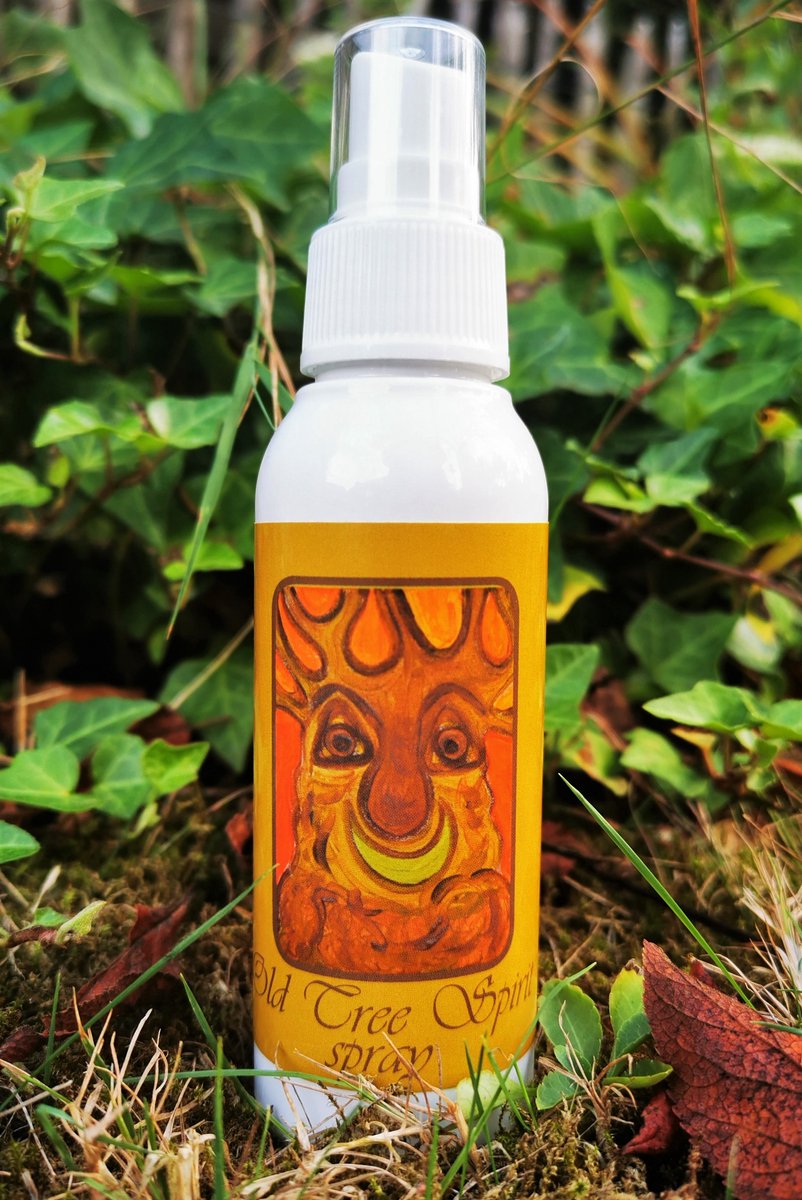 Goedkoopste Old Tree Spirit Spray - Magical Aura Chakra Spray - In the Light of the Goddess by Lieveke Volcke - 100ml