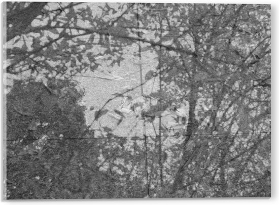 WallClassics - Acrylglas - Schaduw van Takken op Stenen in zwart-wit - 40x30 cm Foto op Acrylglas (Met Ophangsysteem)