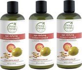 PETAL FRESH - Conditioner Grape Seed & Olive Oil - 3 Pak