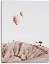WallClassics - Acrylglas - Twee Beige Luchtballonnen boven Beige Landschap - 30x40 cm Foto op Acrylglas (Wanddecoratie op Acrylaat)