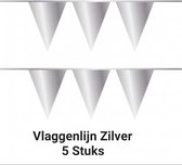 5 x vlaggenlijn - Zilver - 10 meter, Verjaardag, Themafeest, Jubileum, Kerstmis, Nieuwjaar, Carnaval