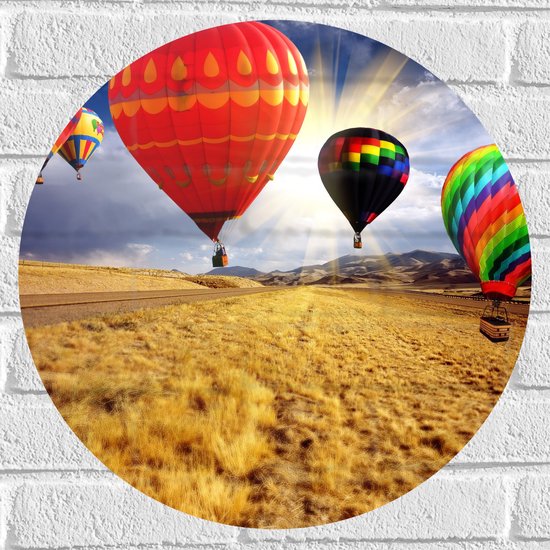 WallClassics - Muursticker Cirkel - Close up van Vier Luchtballonnen boven Landschap - 50x50 cm Foto op Muursticker