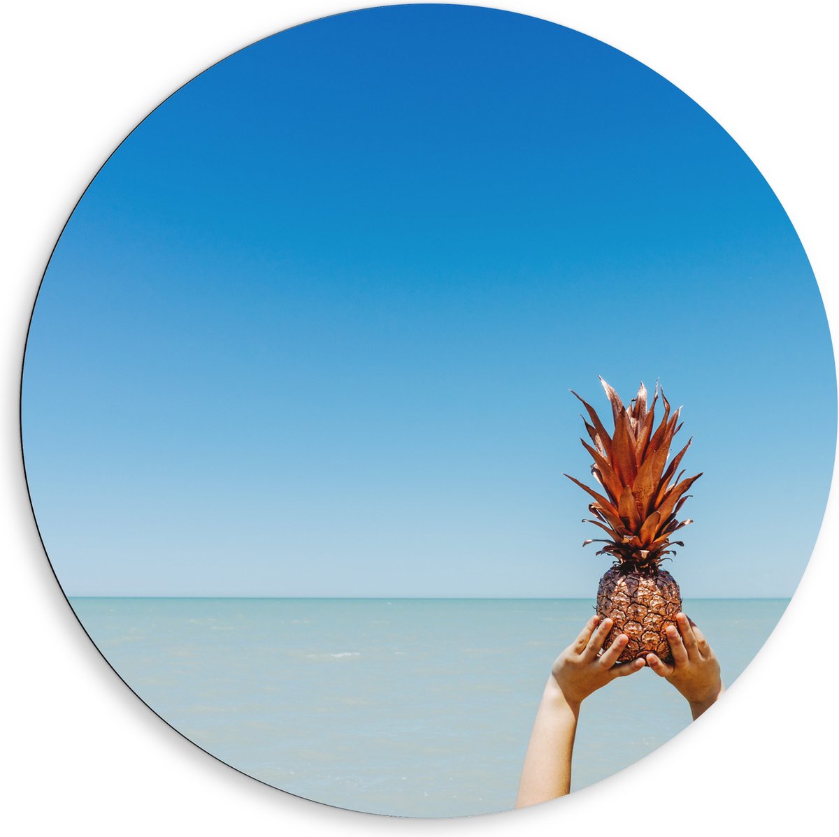 Dibond Muurcirkel - Ananas boven de Zee - 80x80 cm Foto op Aluminium Muurcirkel (met ophangsysteem)