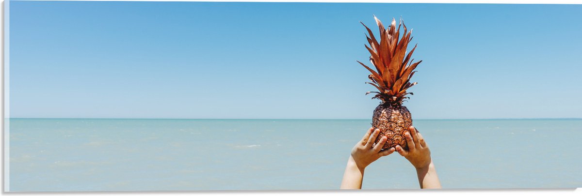 Acrylglas - Ananas boven de Zee - 60x20 cm Foto op Acrylglas (Wanddecoratie op Acrylaat)
