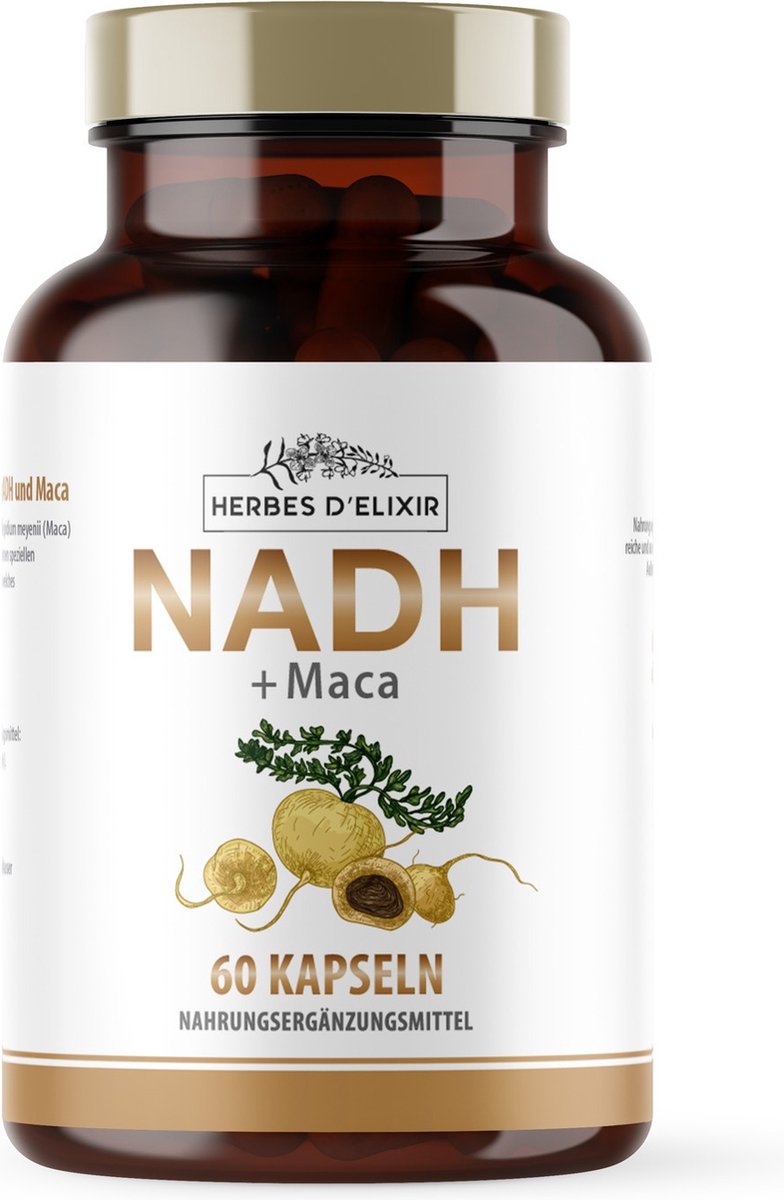 Goedkoopste NADH 20 mg Maca 400 mg - 60 Capsules - Lepidium Meyenii - Ondersteunt Energieproductie