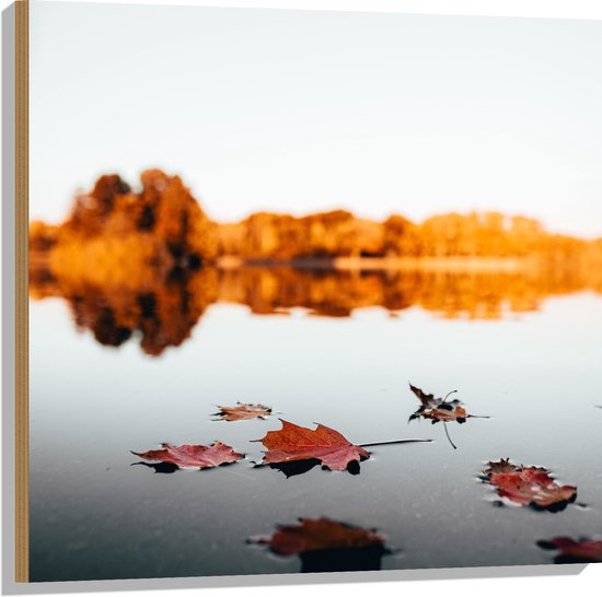 WallClassics - Hout - Herfstbladeren op het Water omringd door Bomen - 80x80 cm - 9 mm dik - Foto op Hout (Met Ophangsysteem)