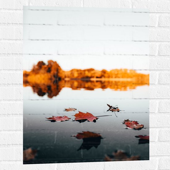 WallClassics - Muursticker - Herfstbladeren op het Water omringd door Bomen - 60x80 cm Foto op Muursticker